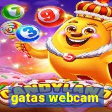 gatas webcam